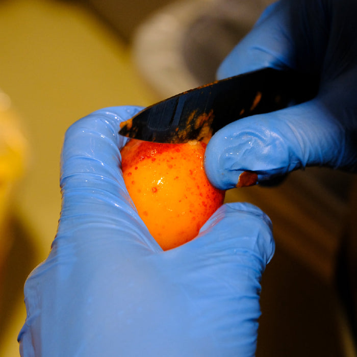 滋賀トキヤ3周年記念ビール 長崎壱岐島のクラフトビールISLAND BREWERY